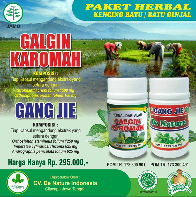 Illustration for article titled Penyebab Penyakit Gagal Ginjal Pada Anak
